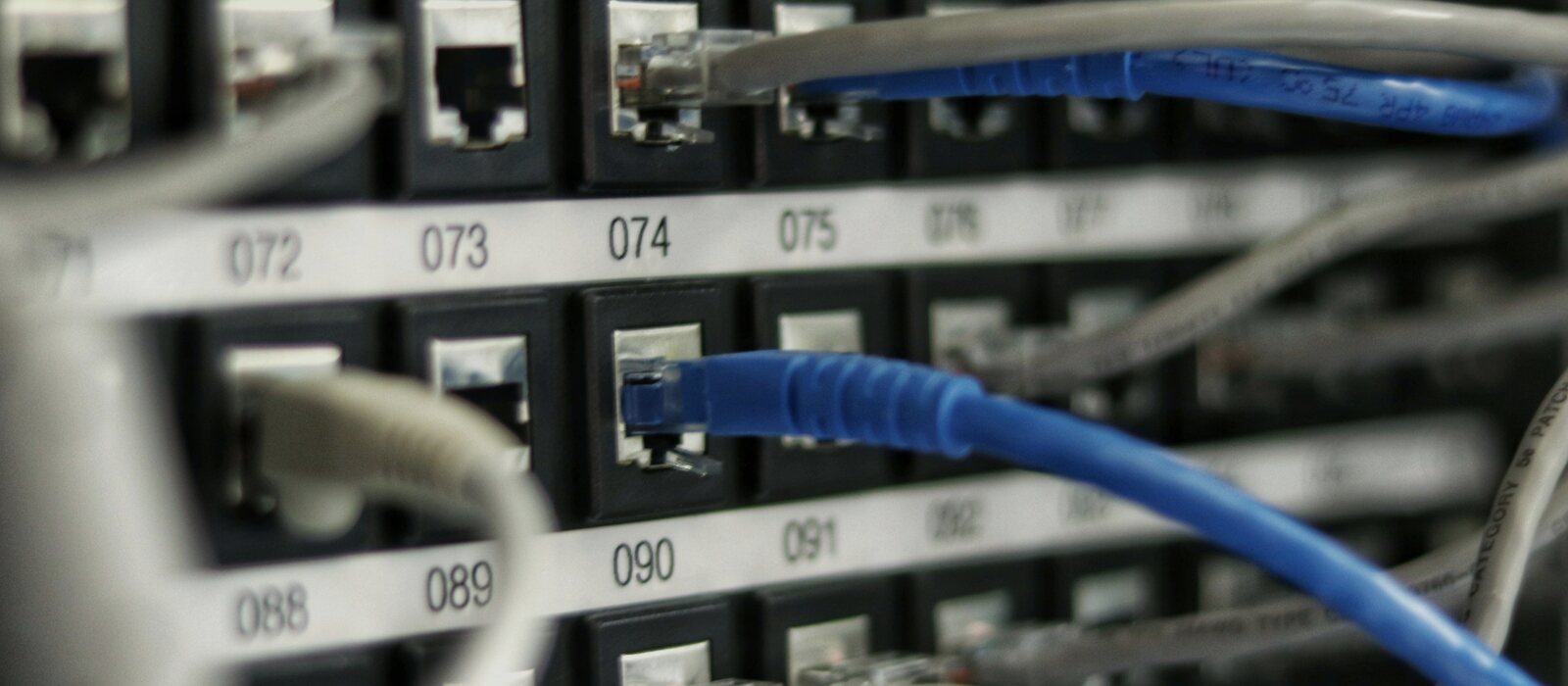 blue UTP cord
