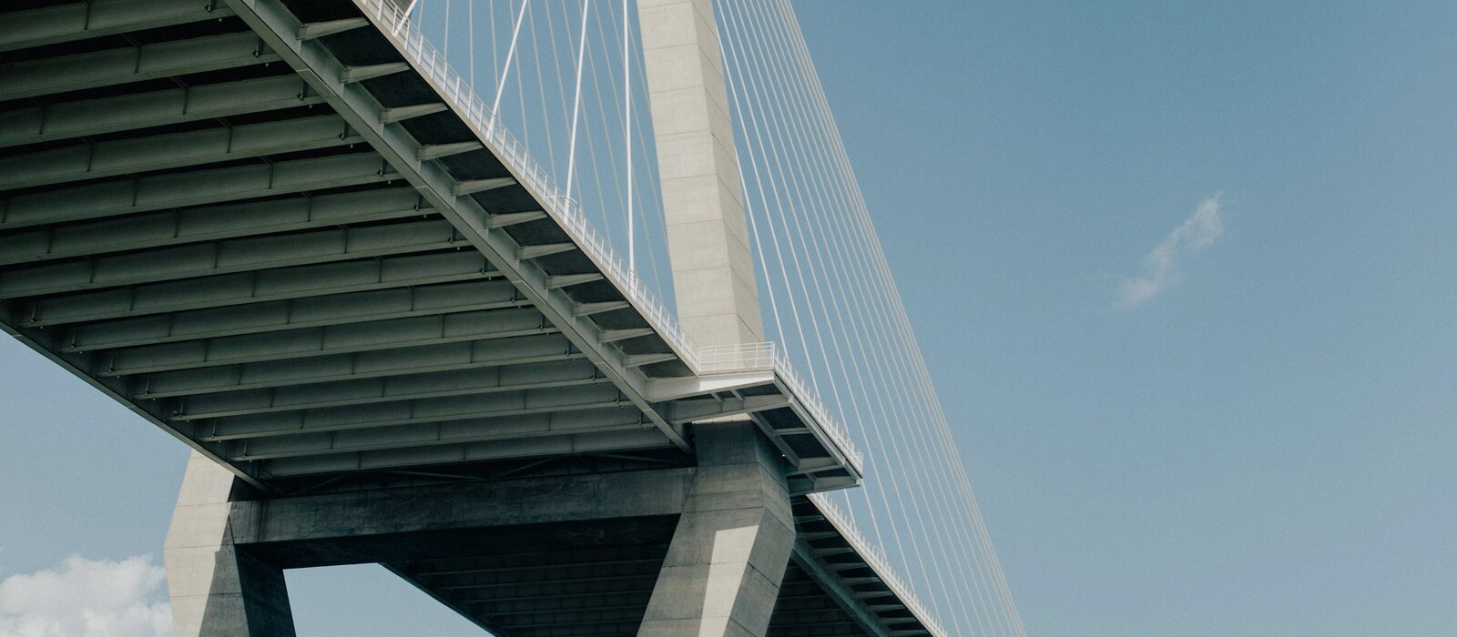 white suspension bridge on water