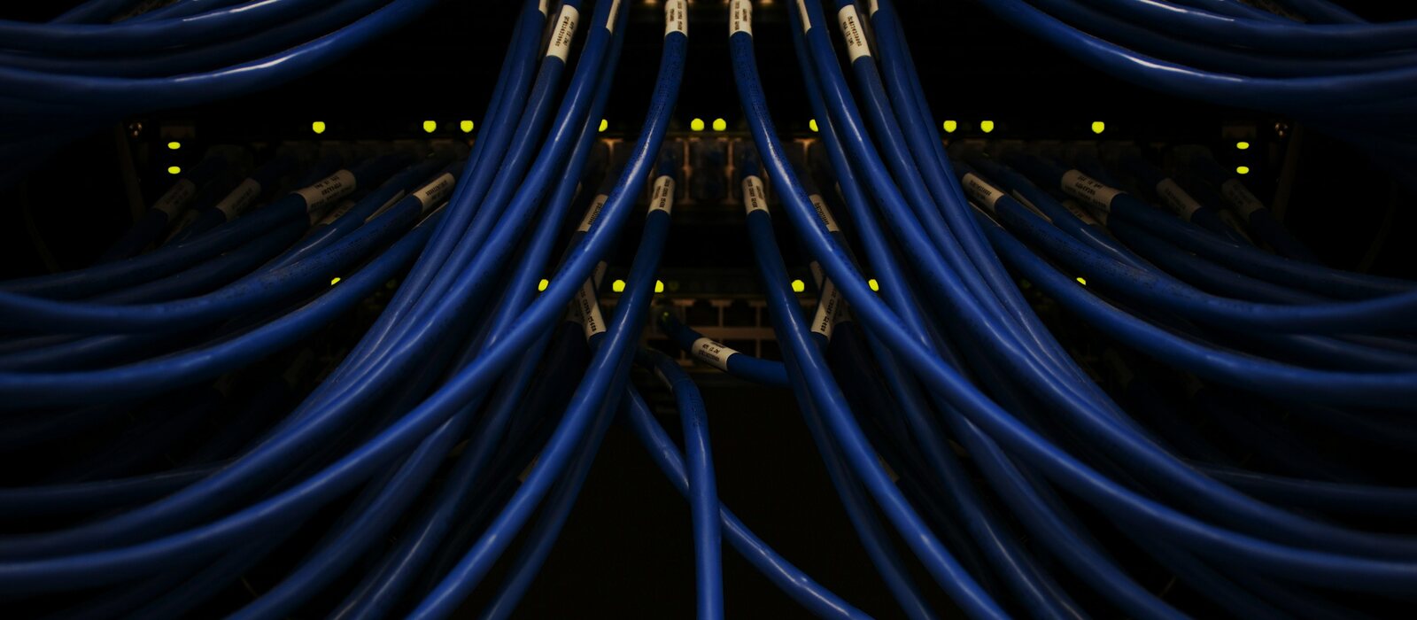 a bunch of blue wires connected to each other