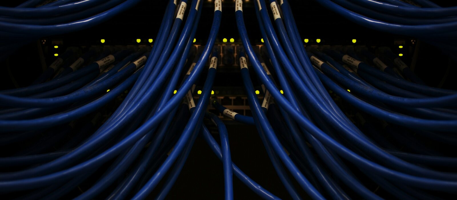 a bunch of blue wires connected to each other